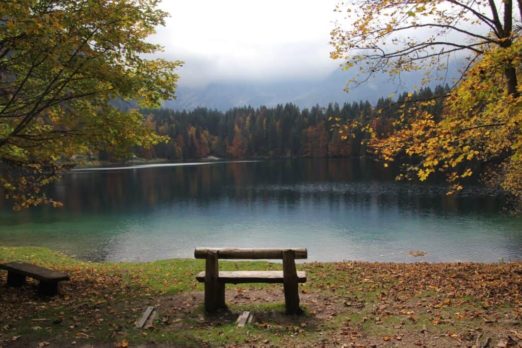 bench in the forest facing a lake portraying introspection